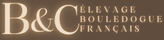 SCBC Dogs élevage de chiens Bouledogue Français et Teckel